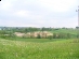 zdj1